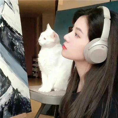 校花驾到之极品校花海报